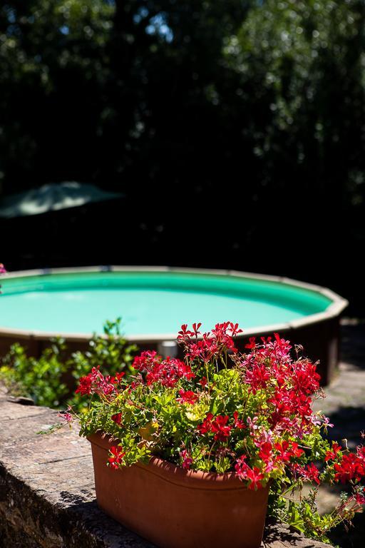 Bassetto Guesthouse & Apartments Certaldo Luaran gambar